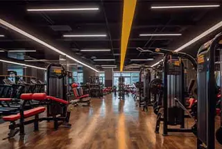 Gymnasium